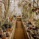MOORTEN BOTANICAL GARDEN