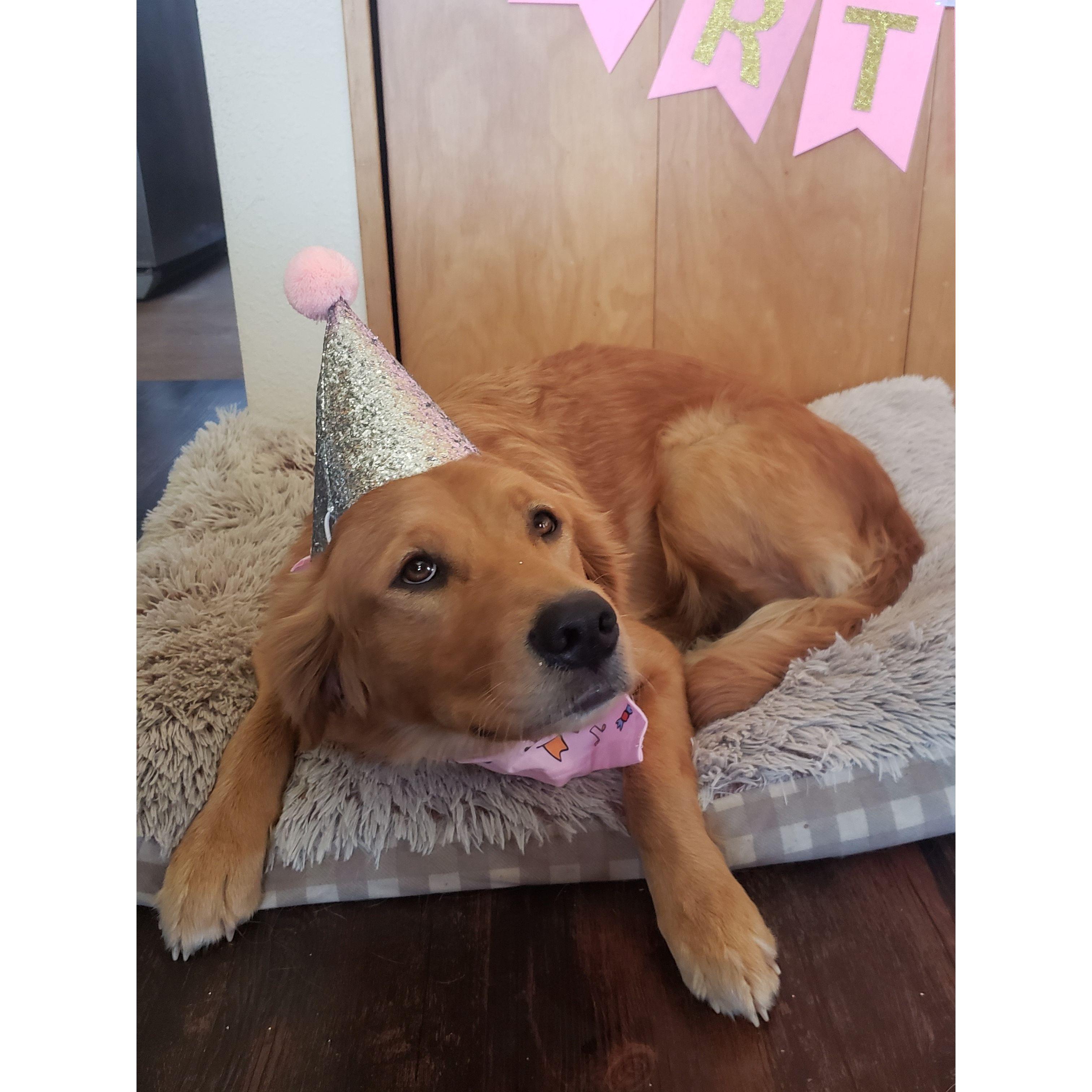 Sassy joined the family in 2019.