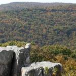 Catoctin Mountain Park