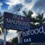 Ziggie & Mad Dog's