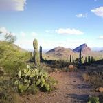 Dreamy Draw Hike Trail