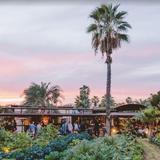 Flora Farms