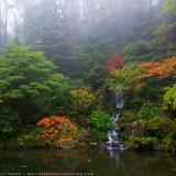 Portland Japanese Garden