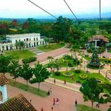 Parque de café