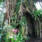 Cleveland Botanical Garden
