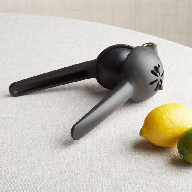 Rabbit ® Citrus Juicer