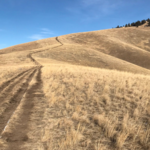 Pattee Canyon Trailhead