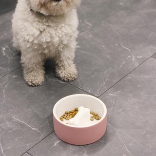 Slow Feed Dog Bowl