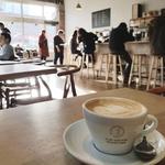 Elm Coffee Roasters