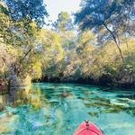 Weeki Wachee Springs State Park