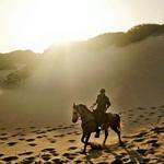 Papiesfontein Beach Horse Rides