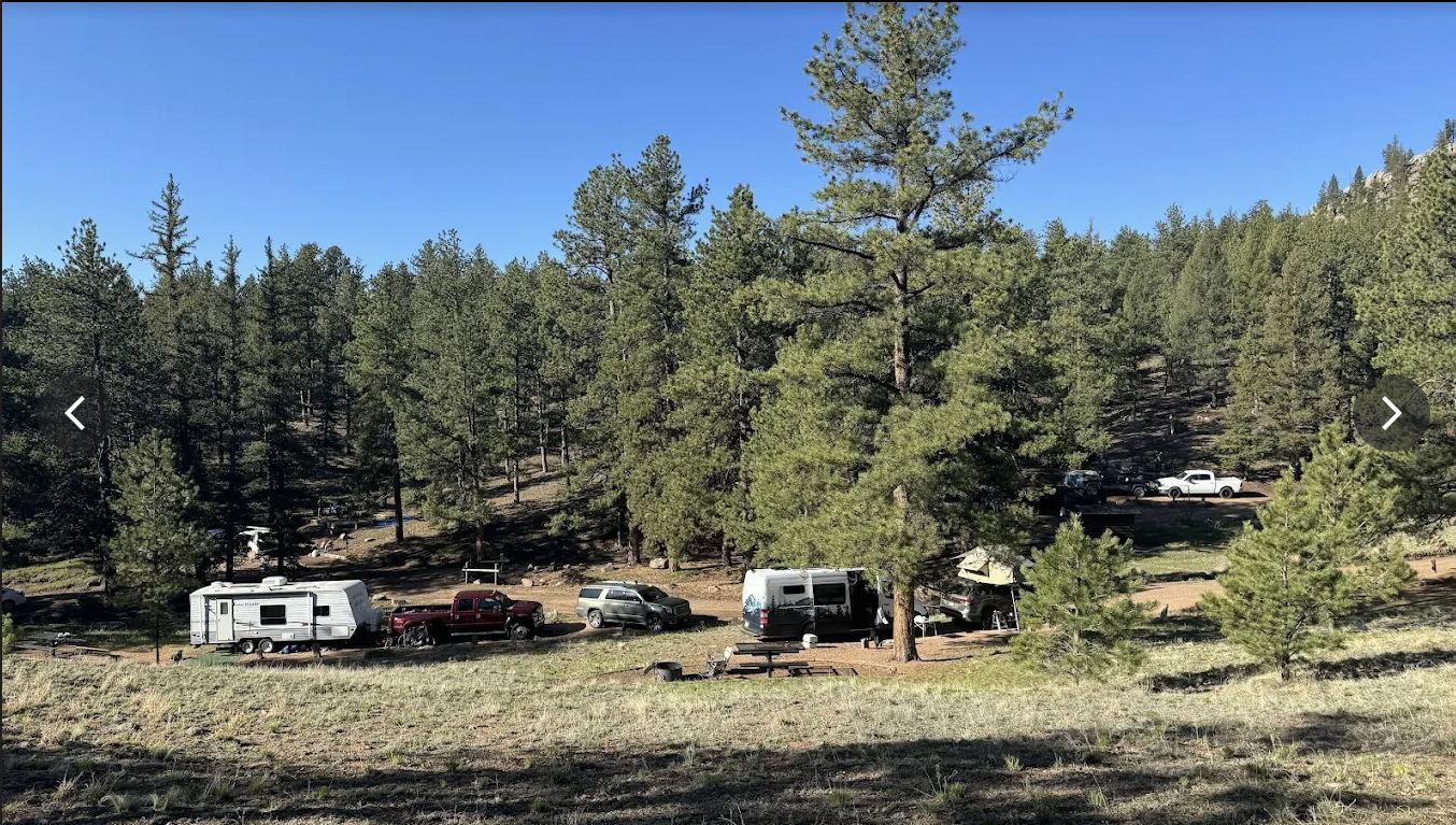 The Wedding Website of Molly Ren and Brendan Treffinger