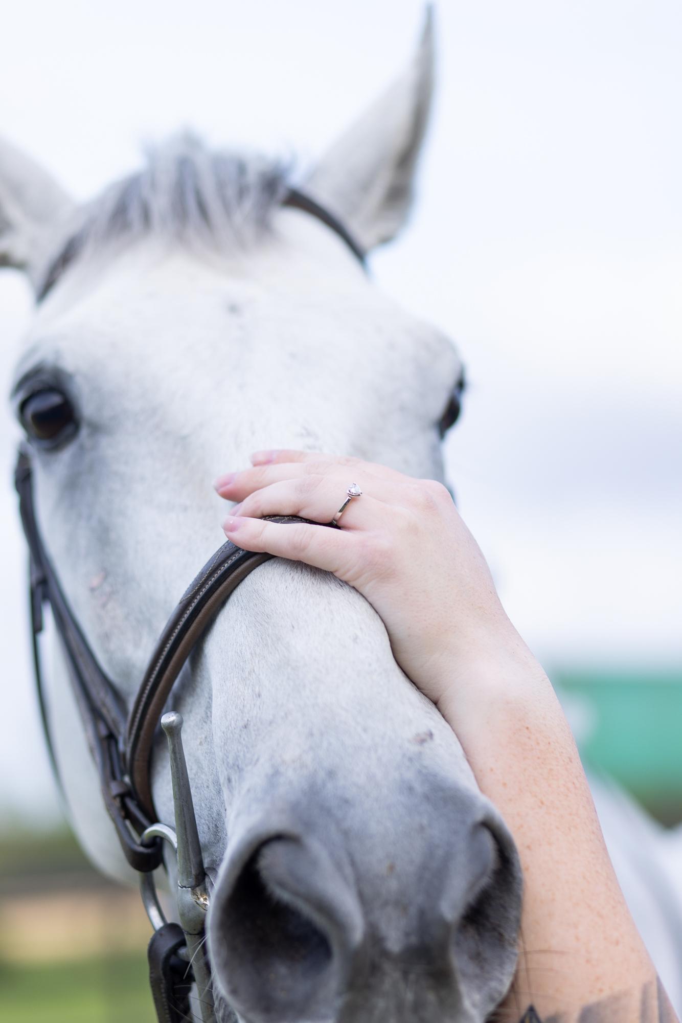 The Wedding Website of Robin Swanson and Marco Maneru