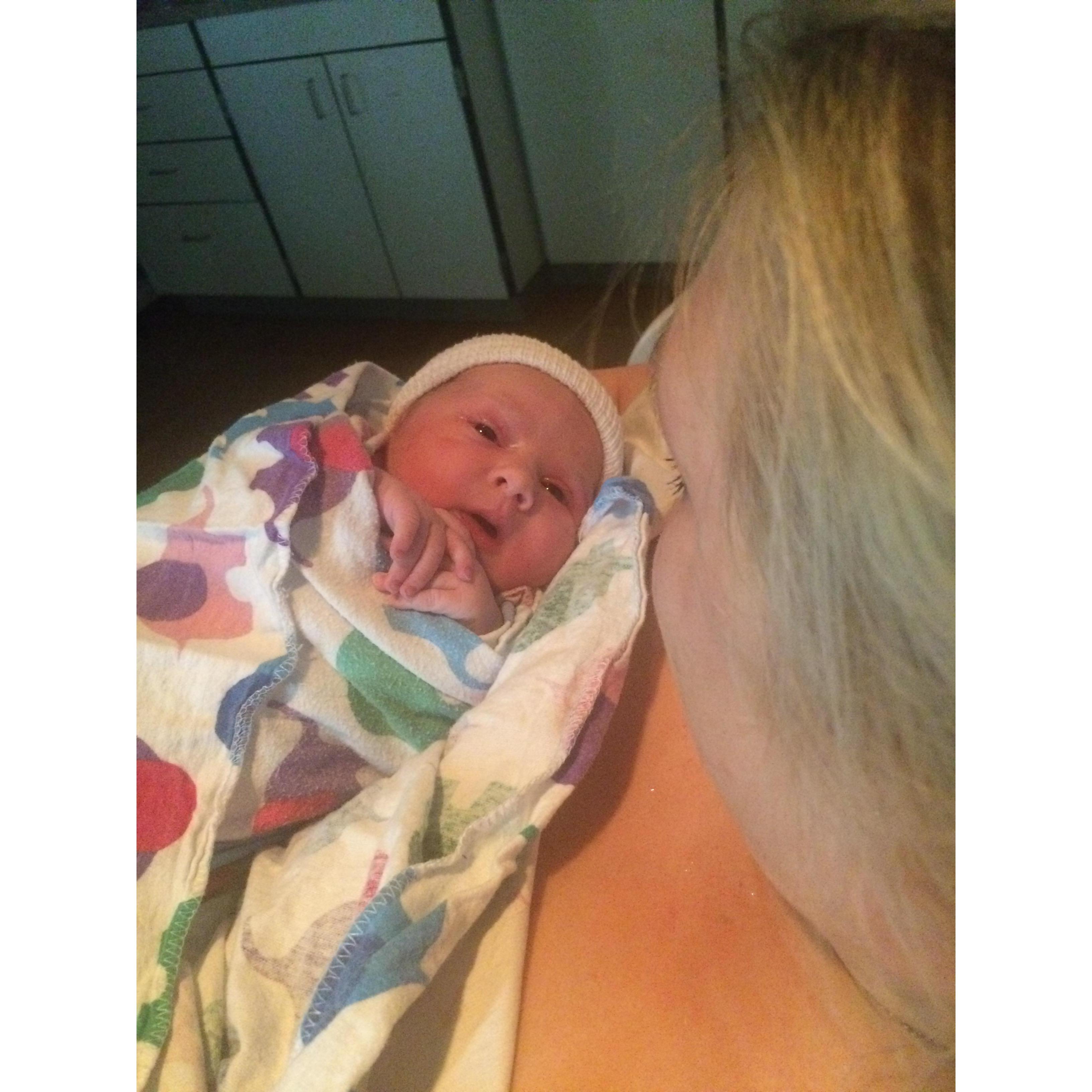 Hello world, my name is Harper Alexandra McGranahan. I was born on 05/06/2016.