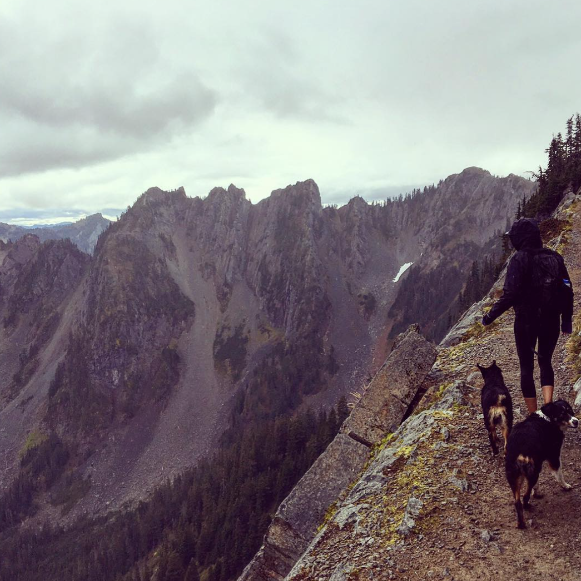 Another day exploring the PNW with the dogs