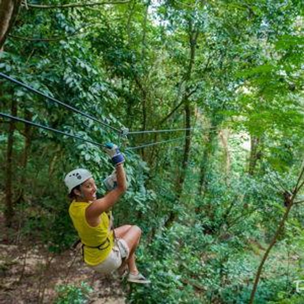 Ziplining Through the Rainforest
