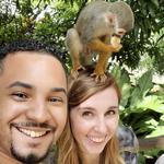 Monkeyland