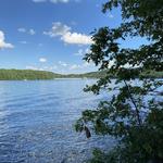 Paugussett State Forest