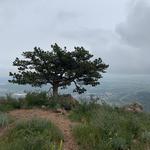 Mount Galbraith Park