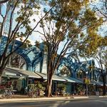 Coconut Grove