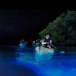 BK Adventure Florida - Bioluminescence Tours
