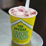 Ted Drewes Frozen Custard