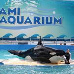 Miami Seaquarium