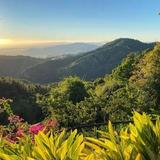 El Yunque National Forest