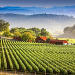 Napa Valley