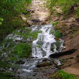 Dunning's Spring Park