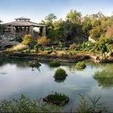 Japanese Tea Garden