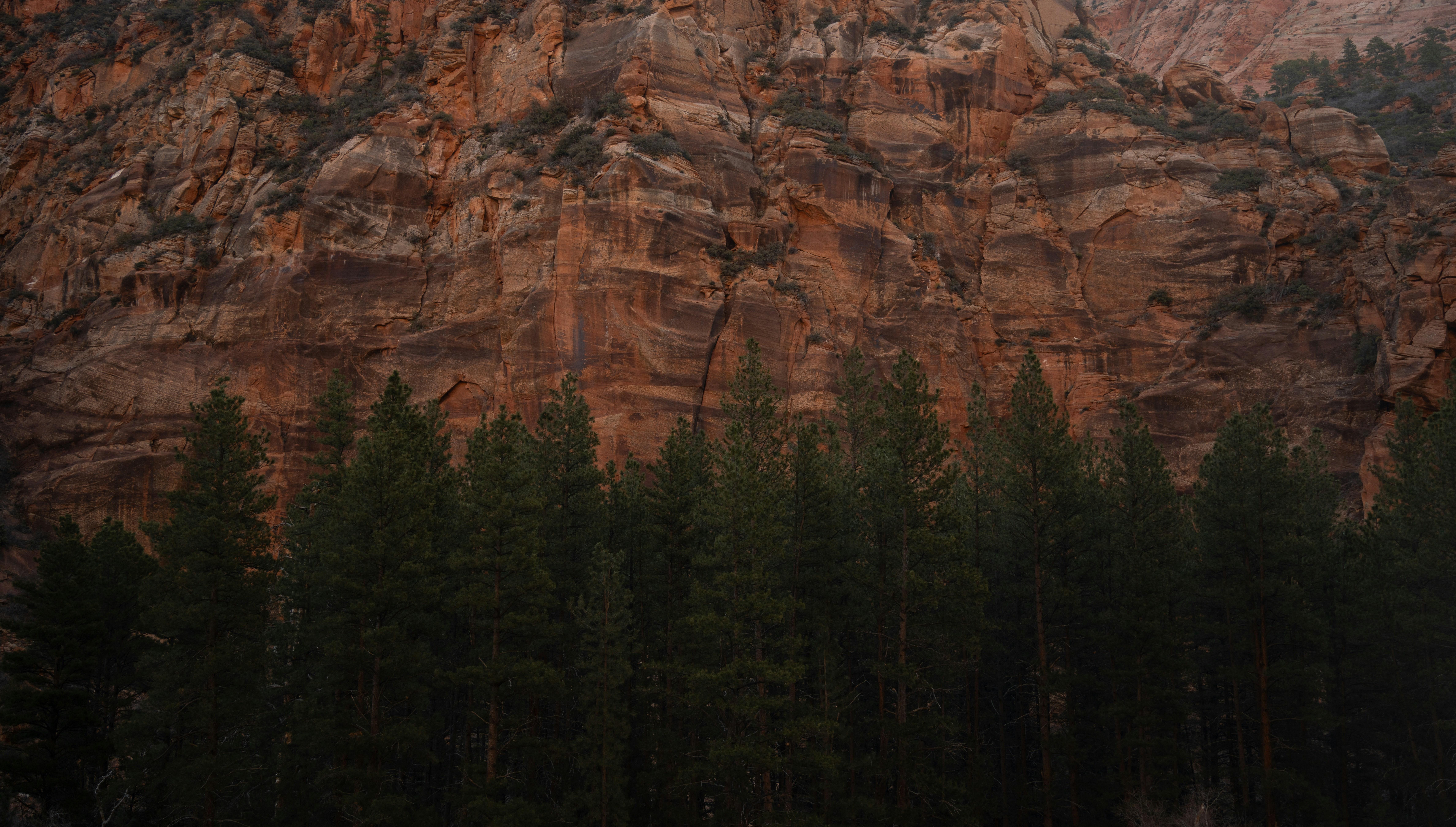 The Wedding Website of Micah Davis and Sarah Stowe