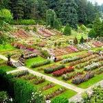 Washington Park/The Rose Garden