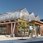 GR Downtown Market