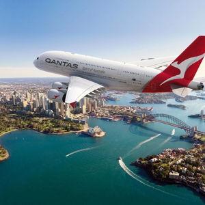Honeymoon Flights!