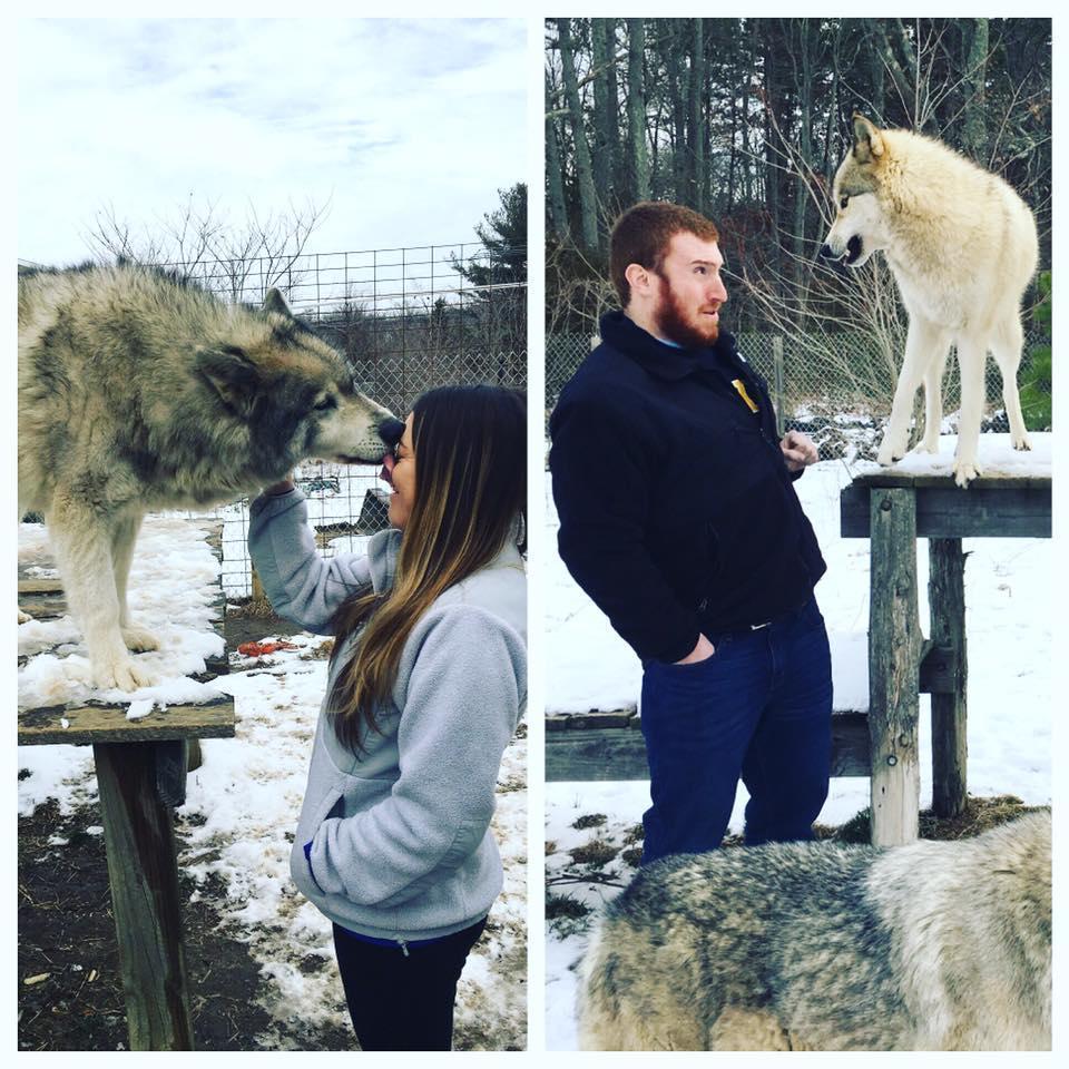 You can tell who the true dog whisperer is