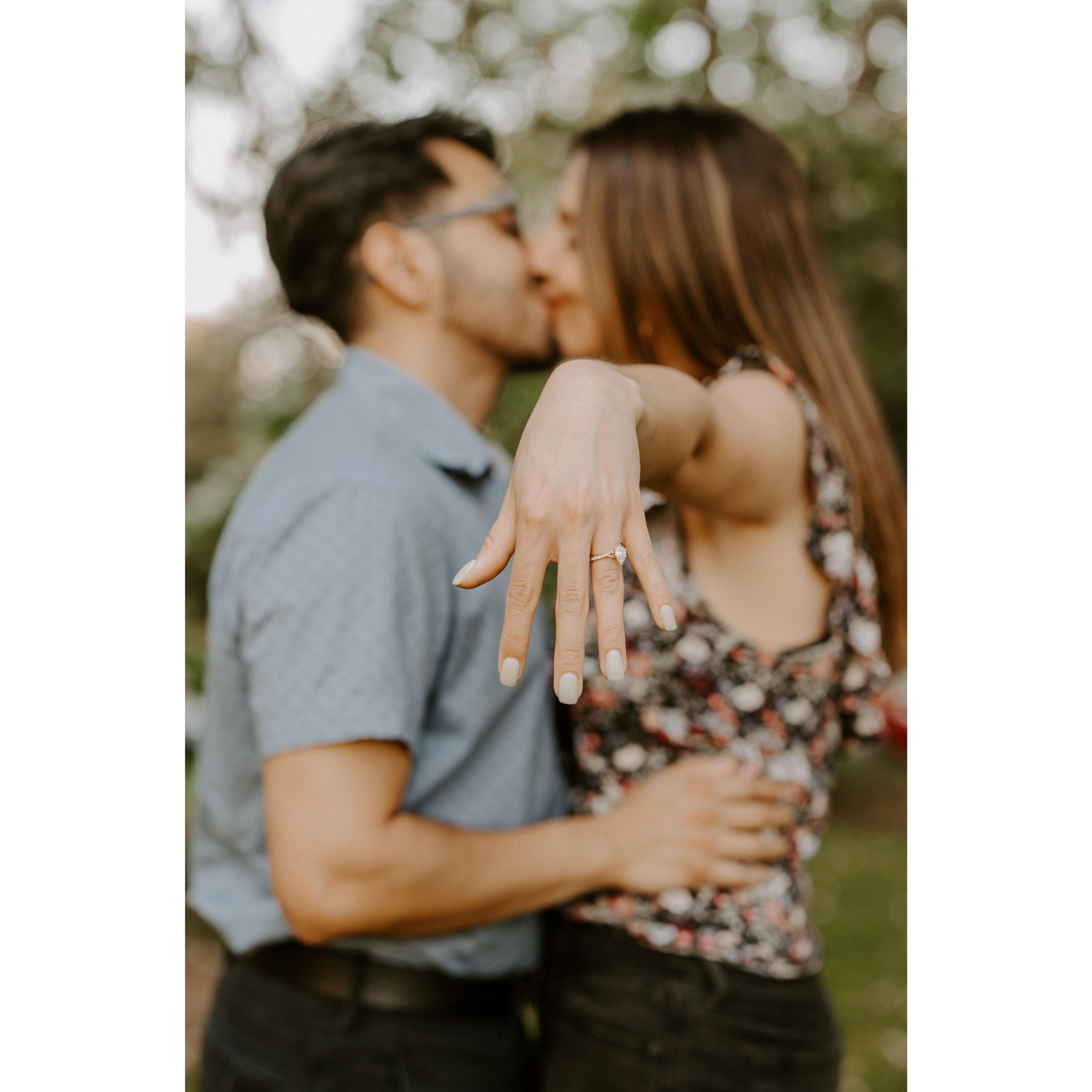 Highlights from our engagement session <3