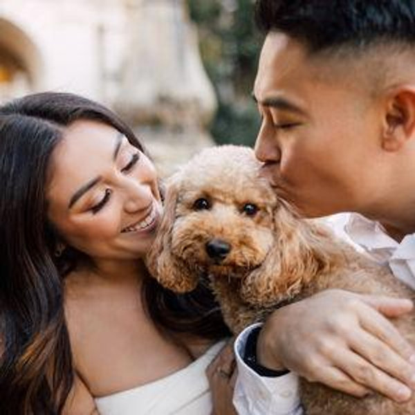 Our newlywed fund