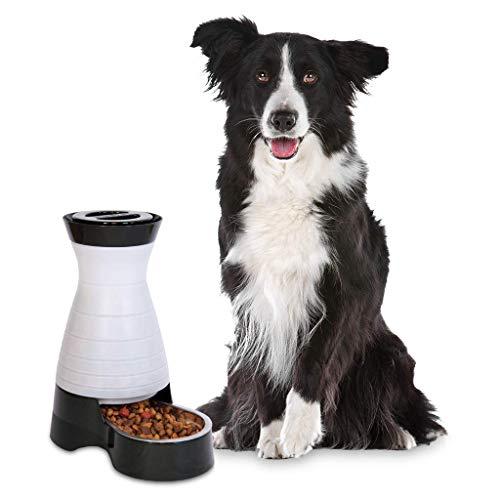 PetSafe Healthy Pet Gravity Dog and Cat Food Station, Stainless Steel Bowl, Holds Dry Dog or Cat Food