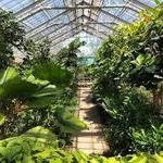 Matthaei Botanical Gardens