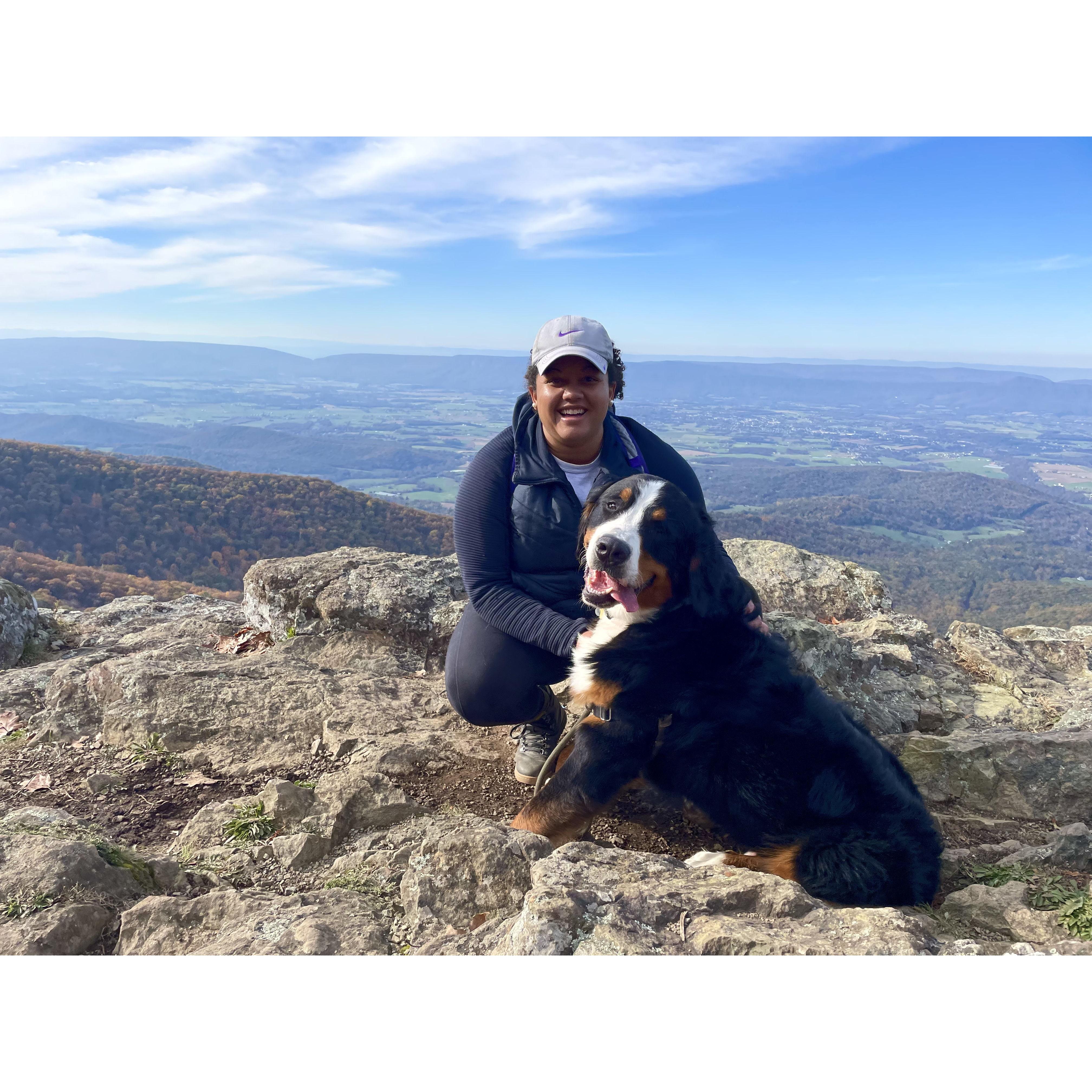 In Shenandoah with Benji, the happiest mountain dog in his favorite place.