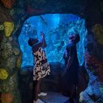 SEA LIFE Charlotte-Concord
