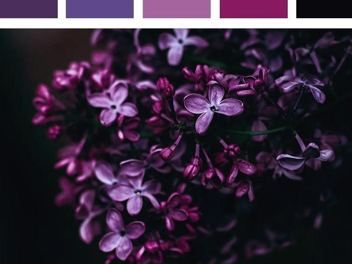 The Wedding Website of Kelsey Volk and William Lopez