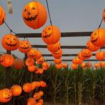 Frosty's Forest Pumpkin Patch & Corn Maze
