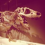 Grand Rapids Public Museum