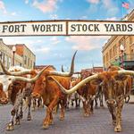 A Day Trip to Fort Worth