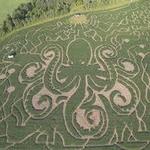 Great Vermont Corn Maze