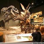 Denver Museum of Nature & Science