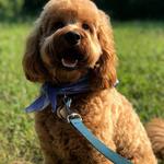 Woodford Reserve Distillery