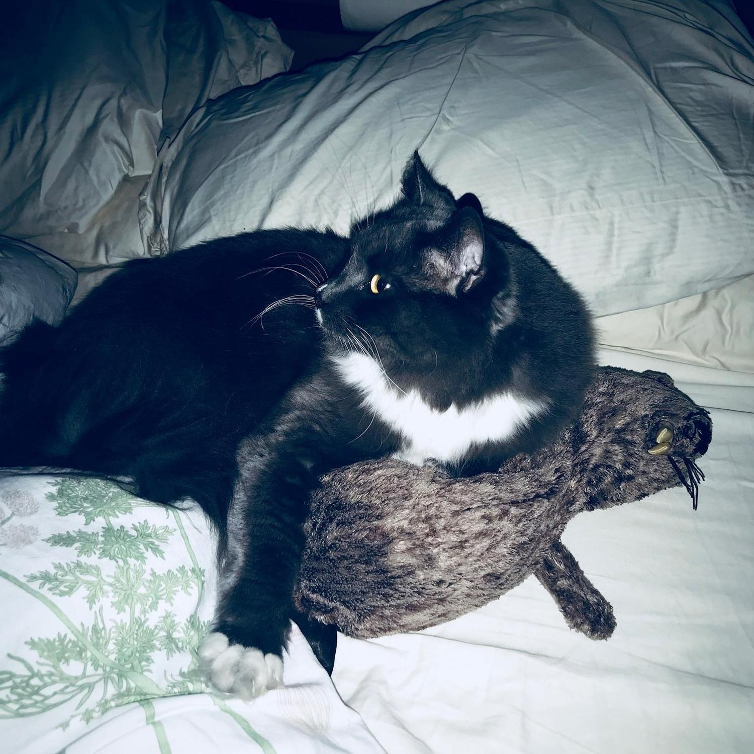 The step children are getting along well.